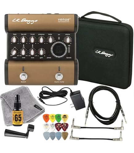 Amazon.com: L.R. Baggs Venue DI Acoustic Guitar Preamp and DI